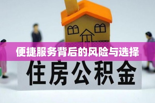 武汉便捷服务背后的风险与选择