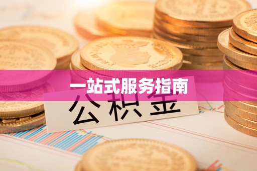 武汉一站式服务指南